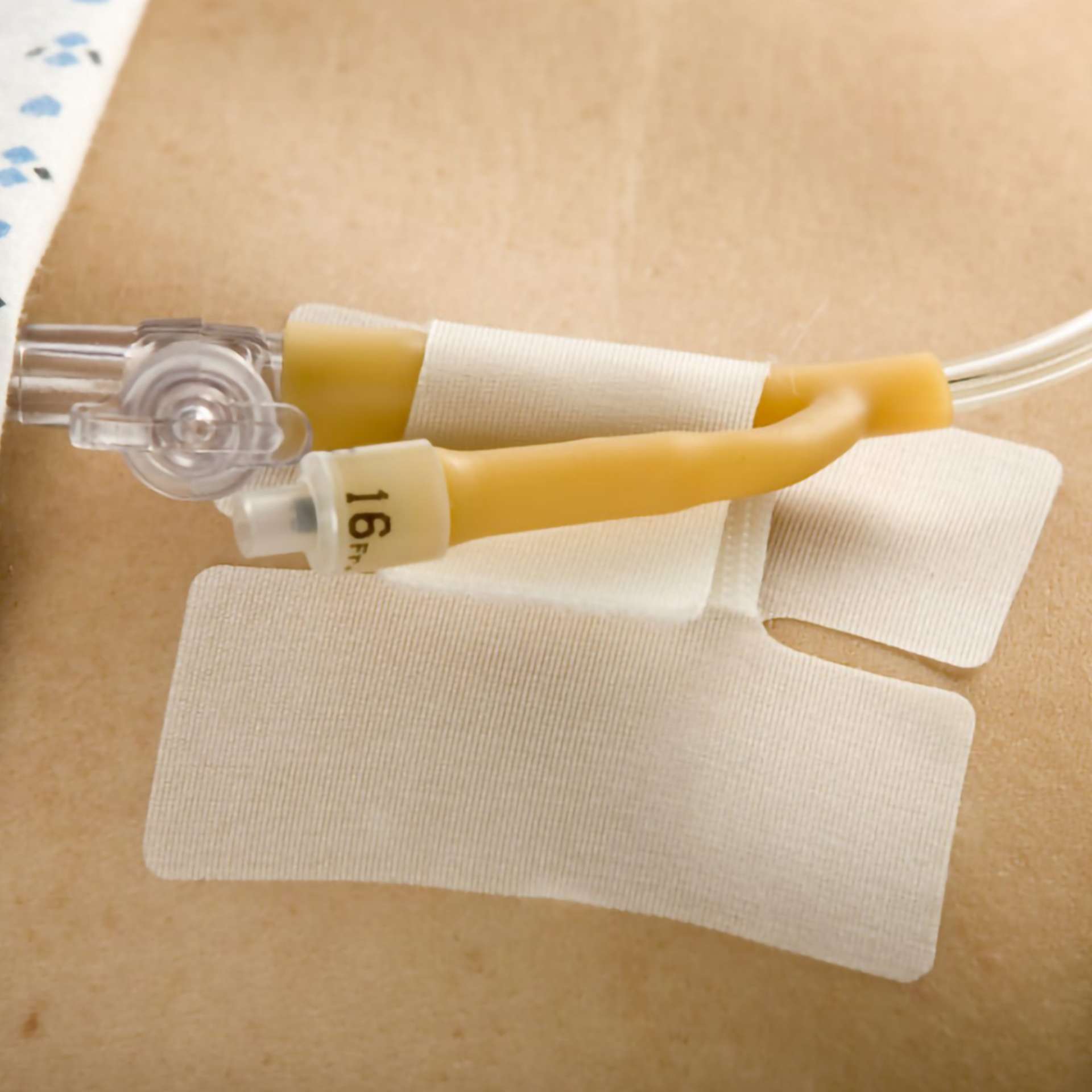 HOLDER, TUBE CATH-SECURE (50/BX 8BX/CS) Image