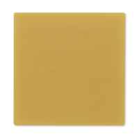 WAFER, SKIN N/S 4
